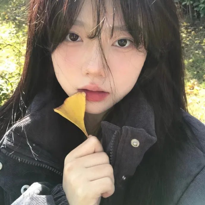 暗镜
