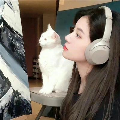 小鱼儿与花无缺